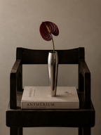 Anthurium