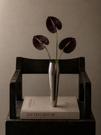 Anthurium