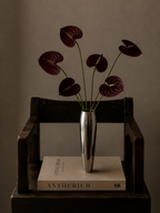 Anthurium