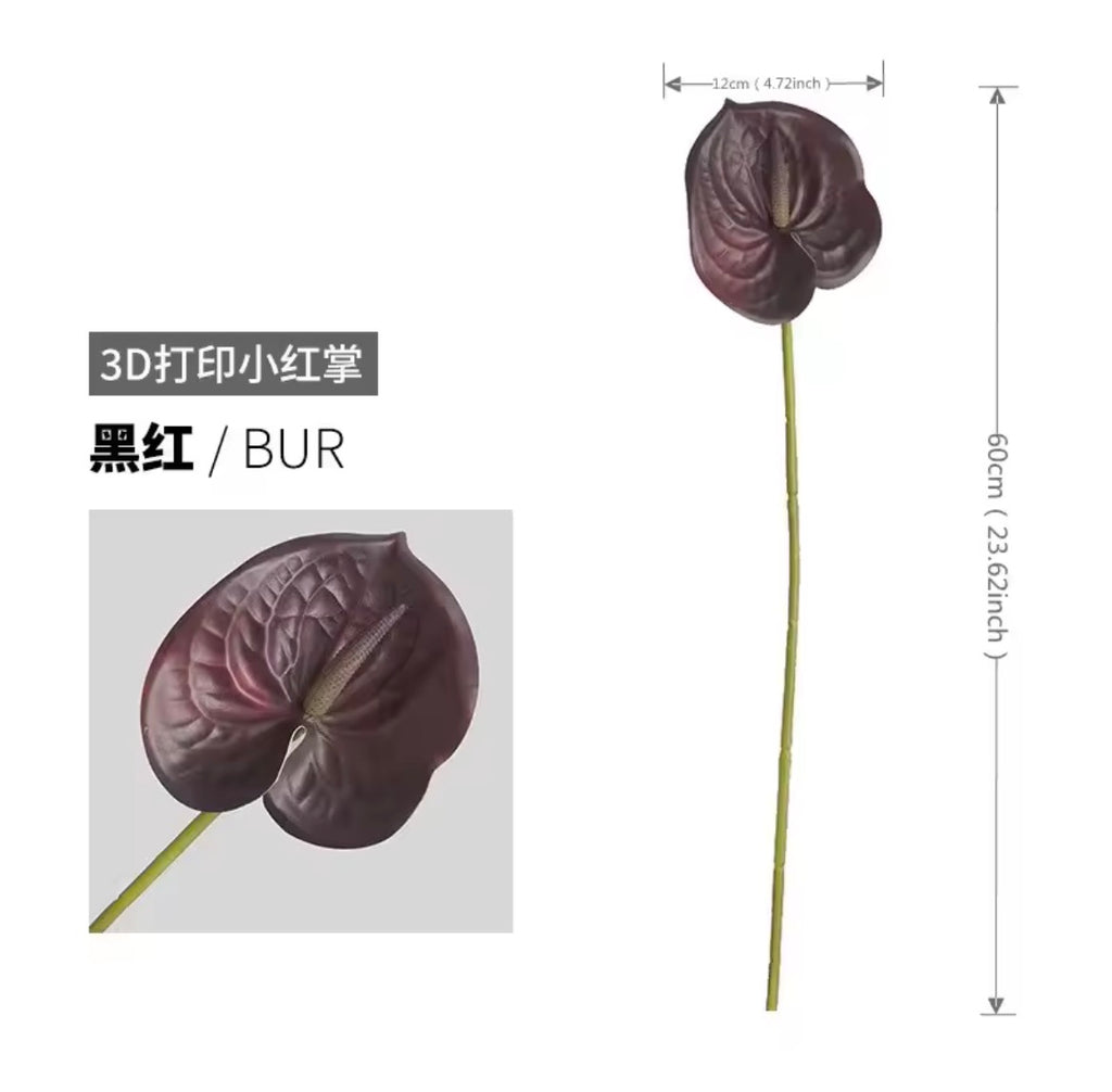 Anthurium