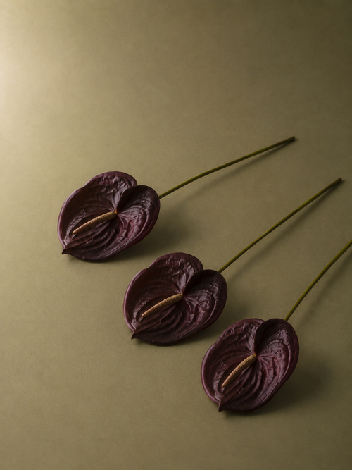 Anthurium