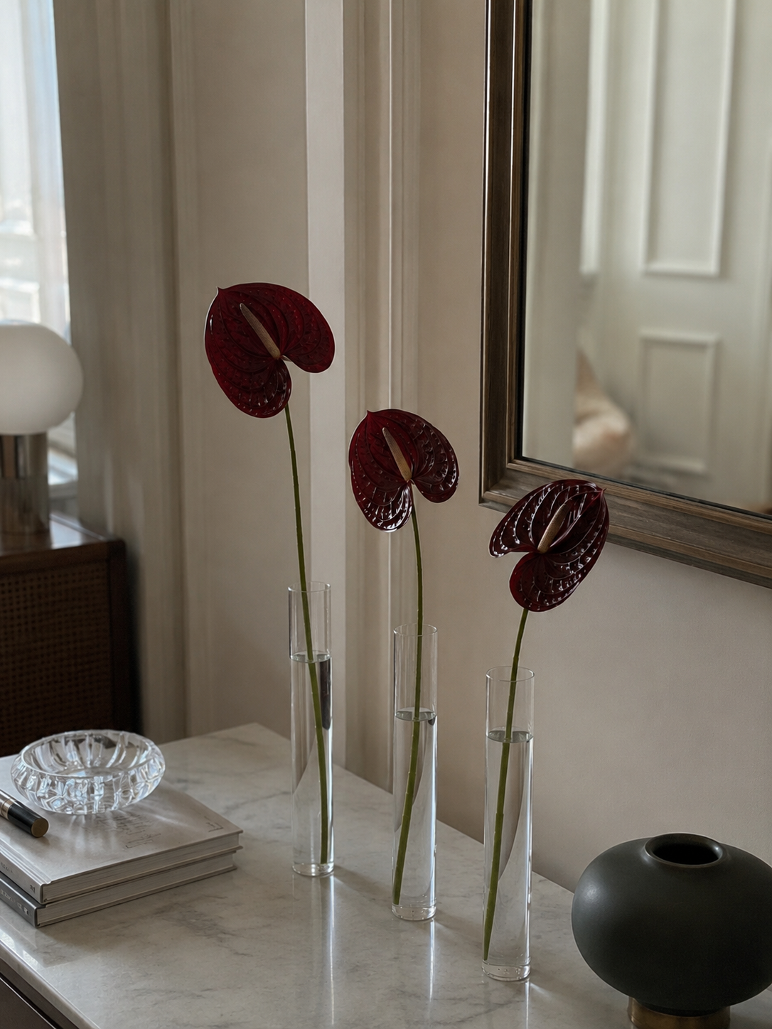 Anthurium Bundle