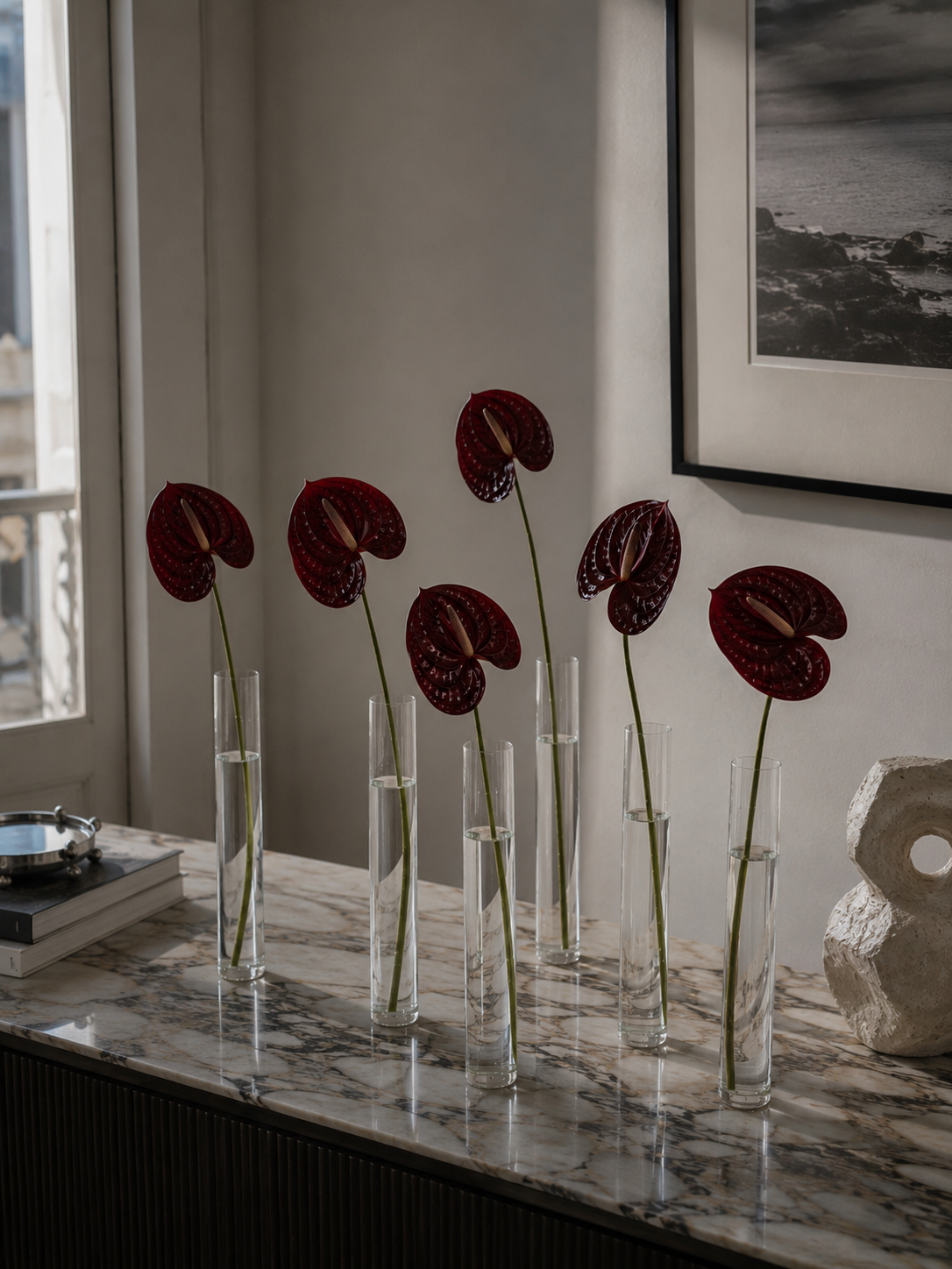 Anthurium Bundle