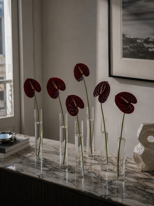 Anthurium